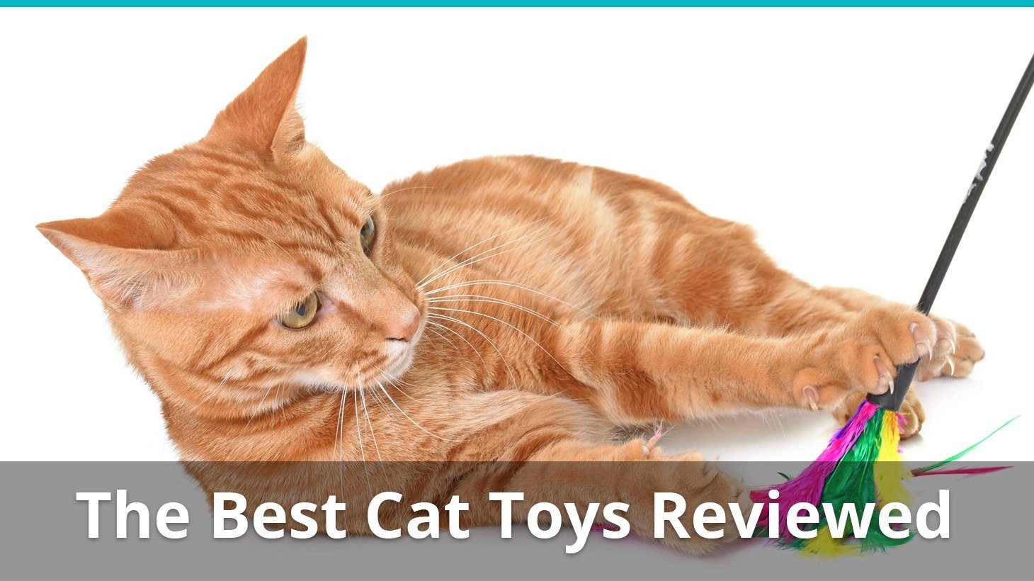 best cat toys