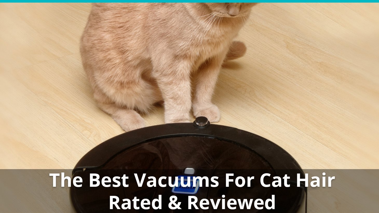 Best Pet Hair Vacuums for Cat Fur & Litter | Ratings & Reviews for 2023