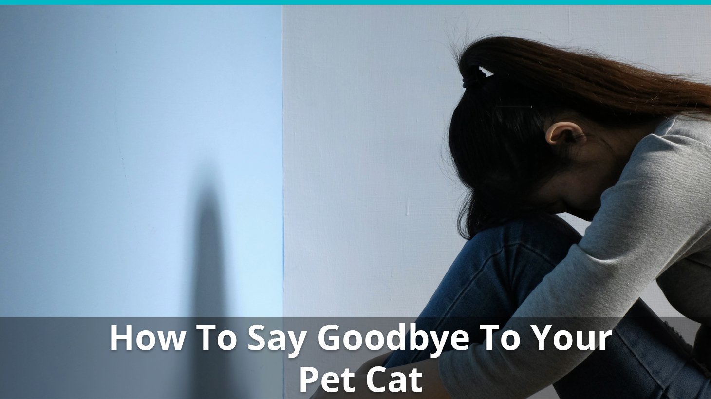 how to say goodbye cat
