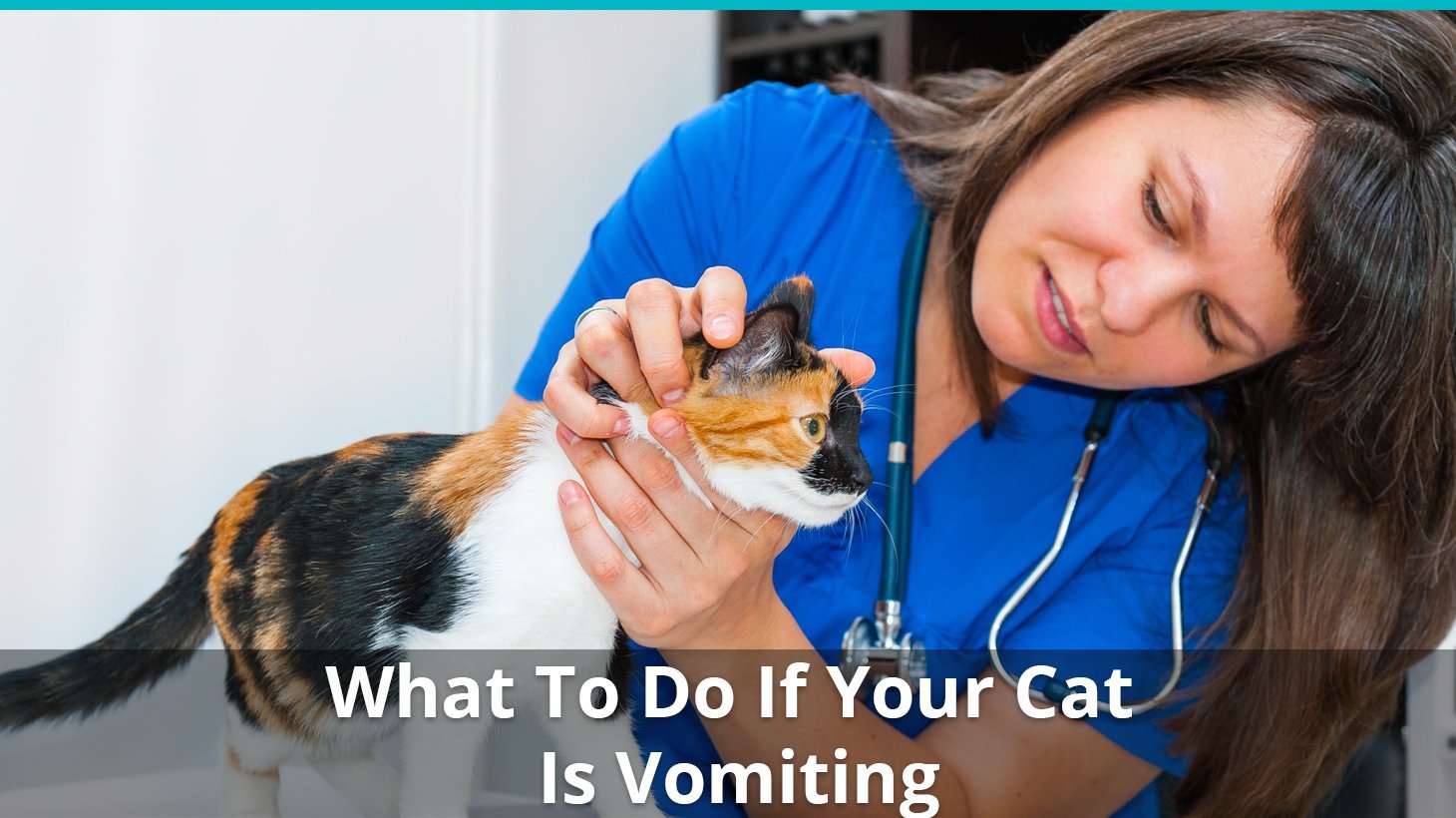 what to do if cat vomiting