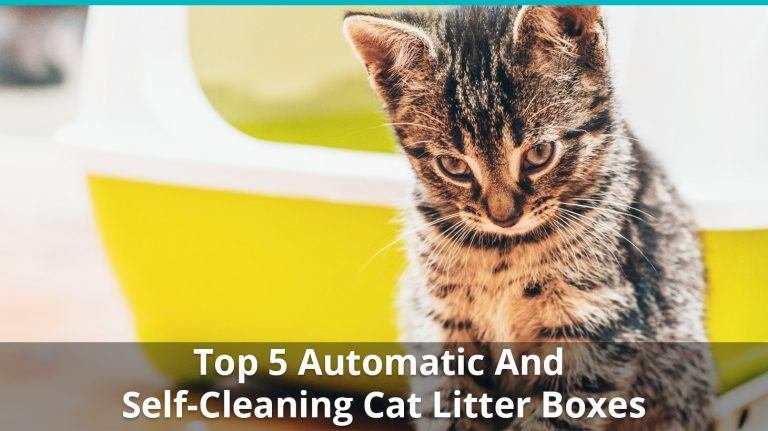 automatic cat litter box crystals