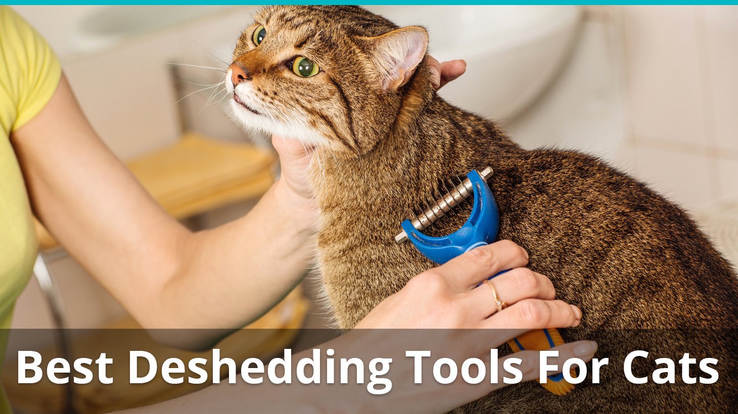 best deshedding tools for cats