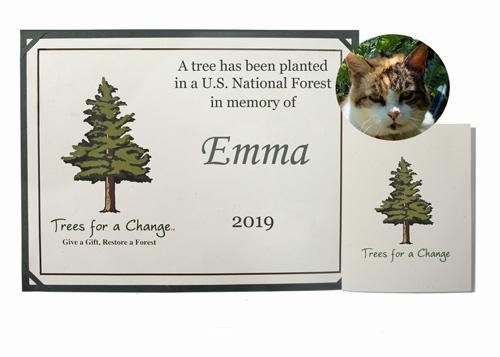 trees for a change pet memorial