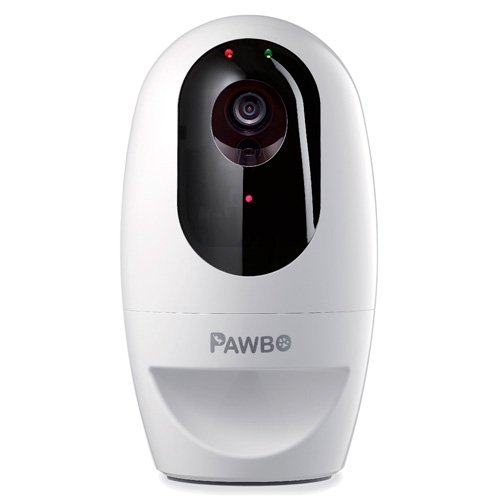 Pawbo Camera And Automatic Treat Dispenser For Cats
