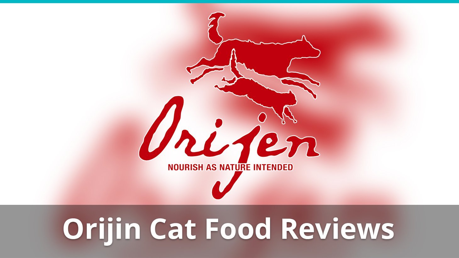 orijen cat food review