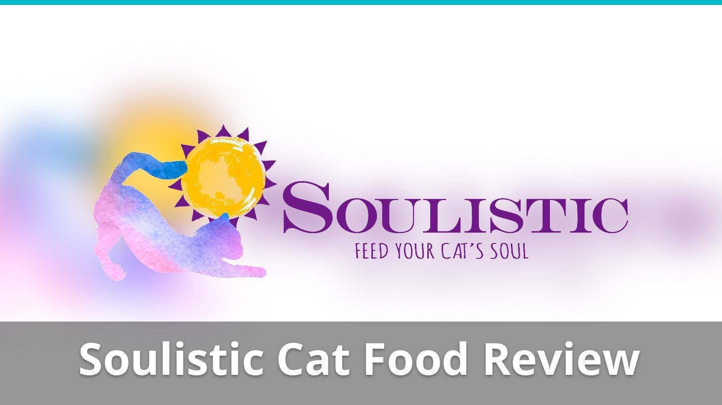 soulistic cat food review