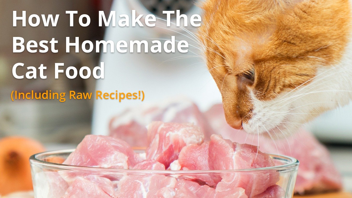 Homemade Cat Food and Raw Diet Recipes