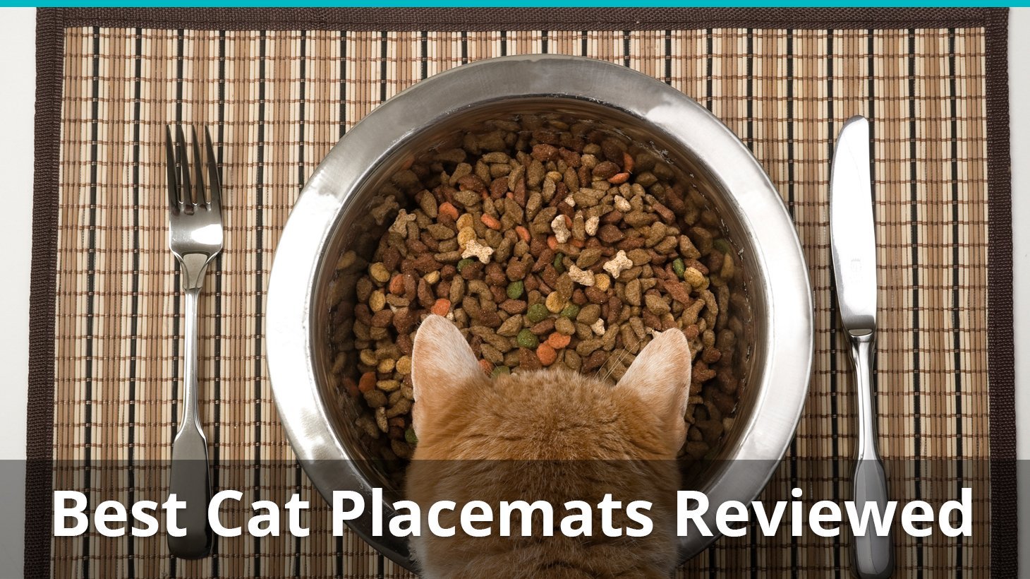 best cat placemats reviewed