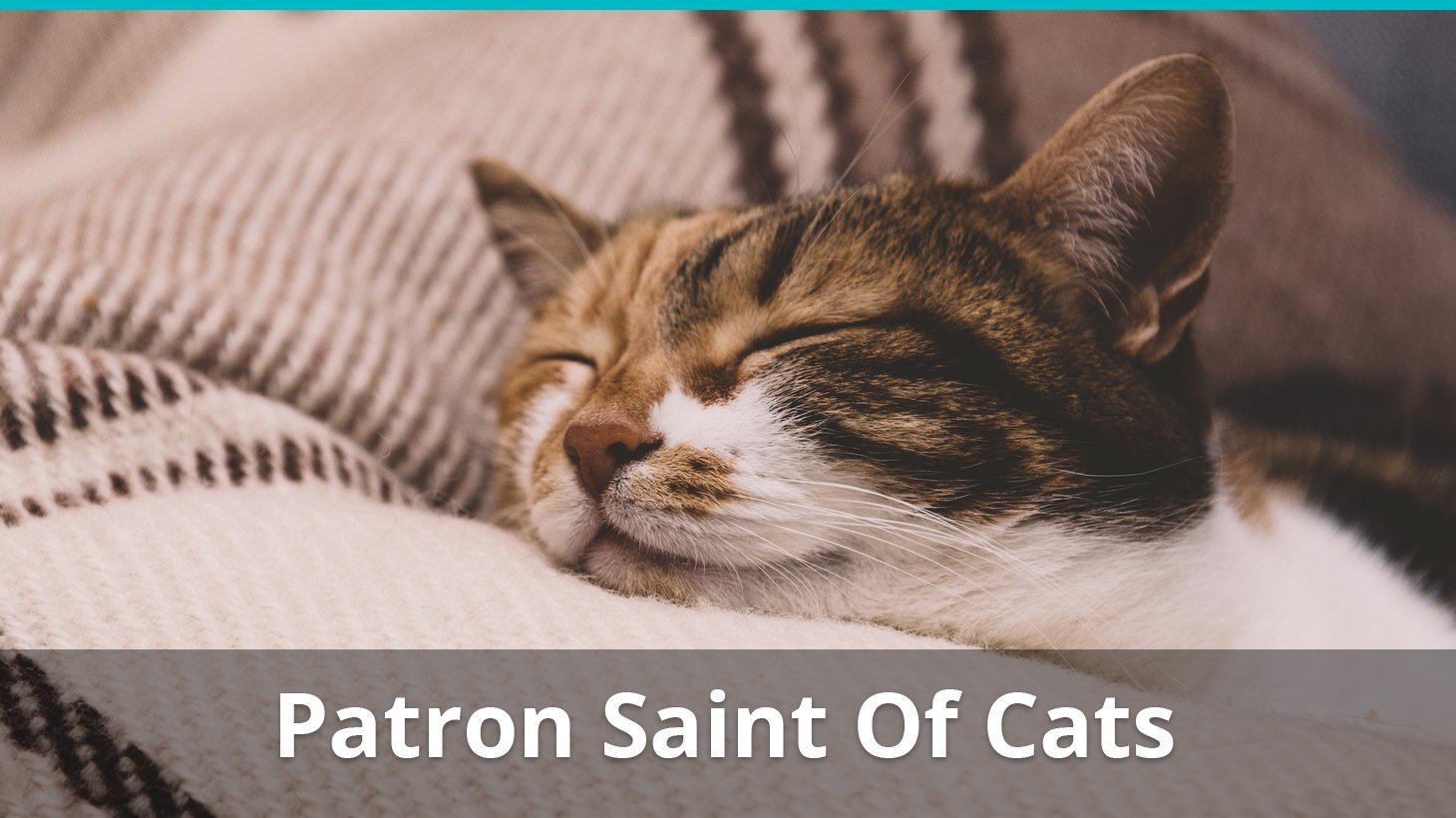 patron saint of cats