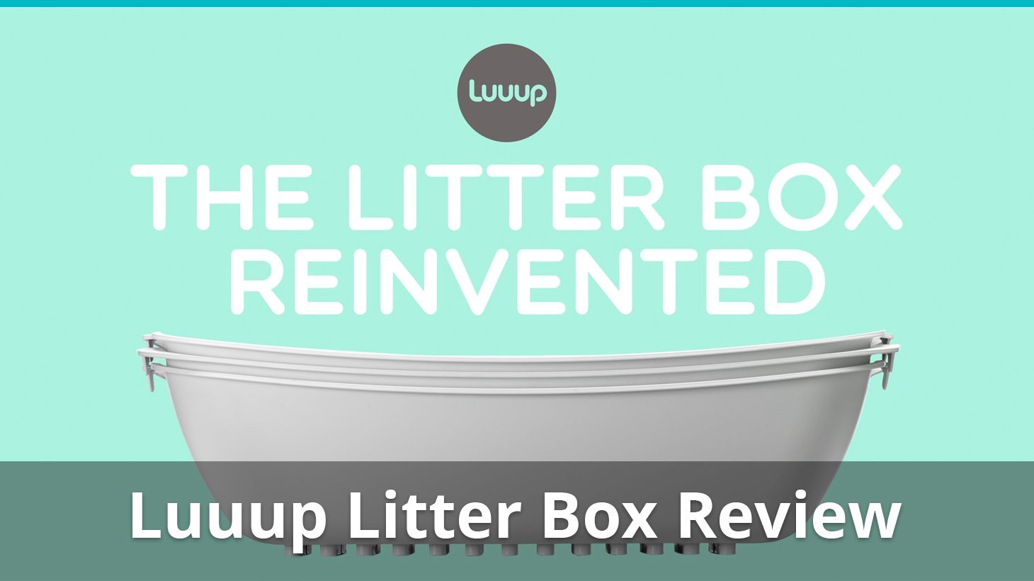 luuup cat litter box review