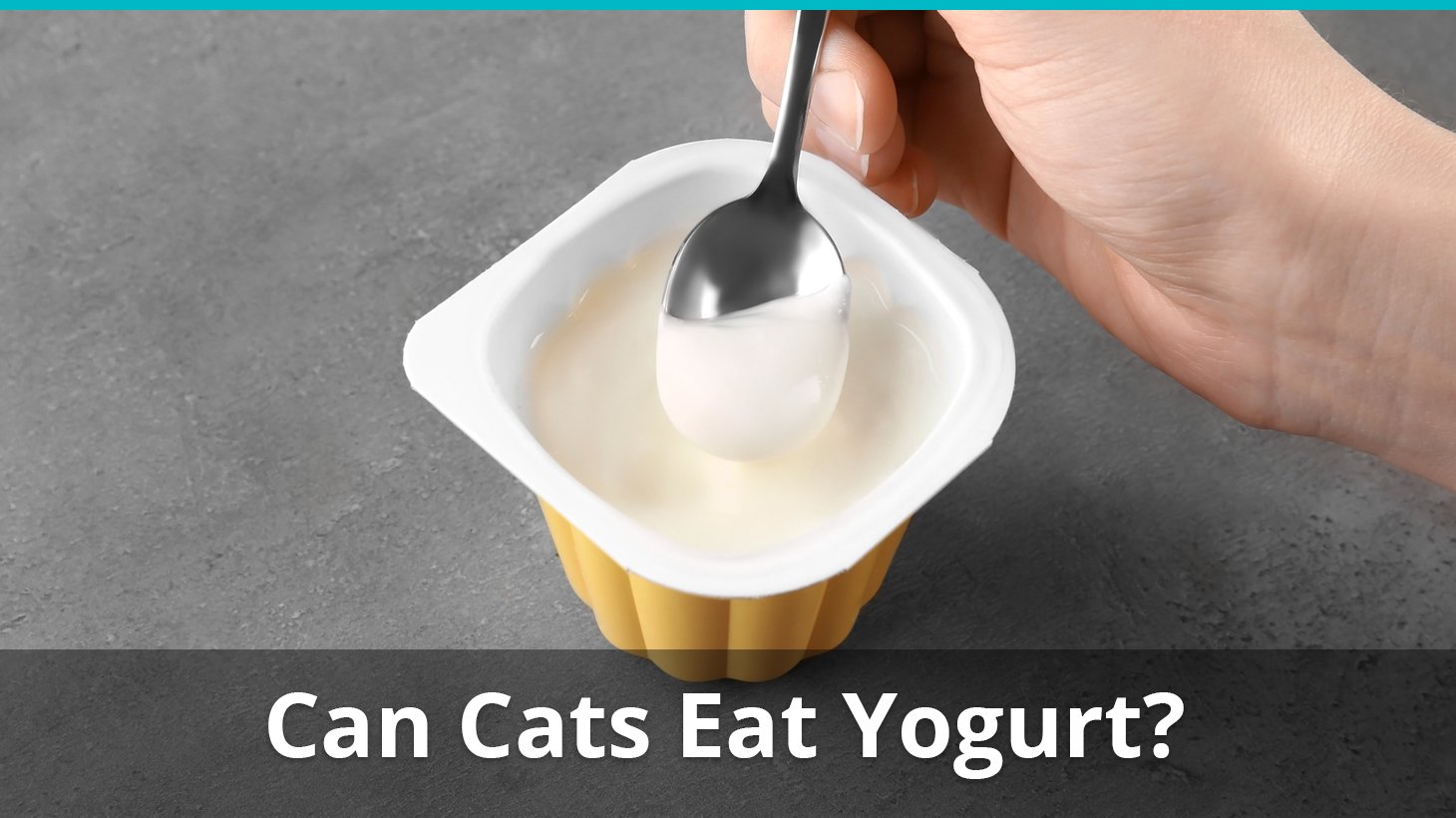 Is it okay for cats cheap to eat yogurt