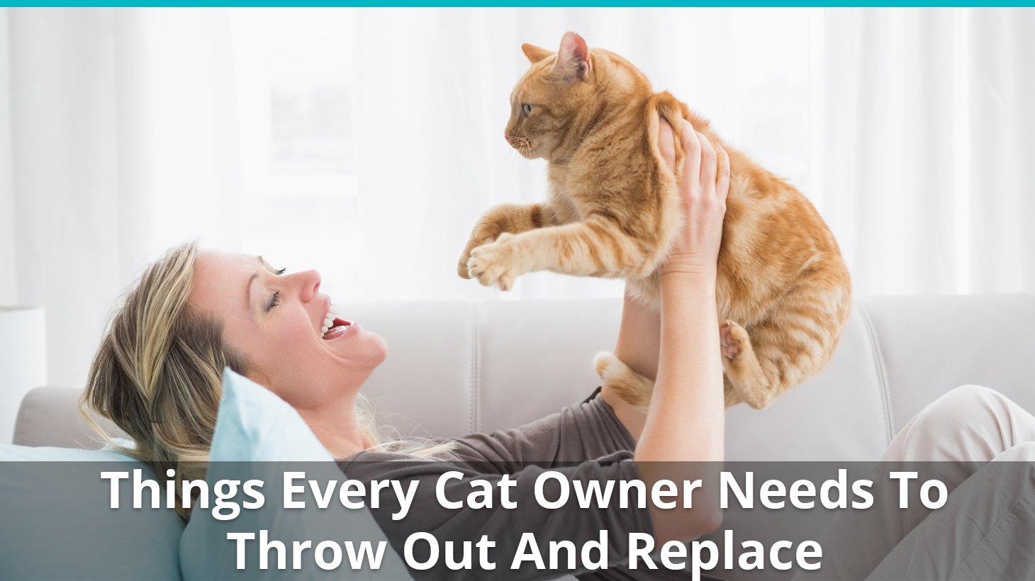 things every cat owner should throw out replace