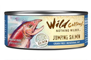 Wild Calling Wet And Dry Cat Food Reviews For 2024