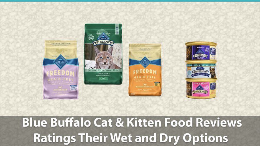 Blue Buffalo Cat & Kitten Food Reviews | Ratings Wet and Dry Options