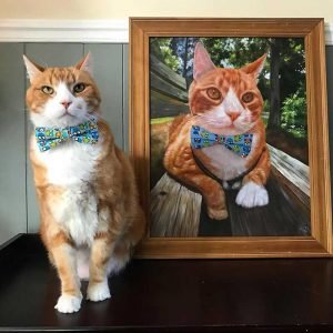 best cat portrait paint your life