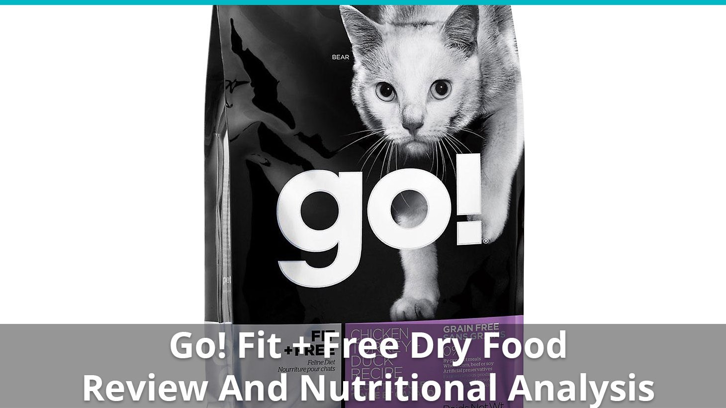 go fit free dry