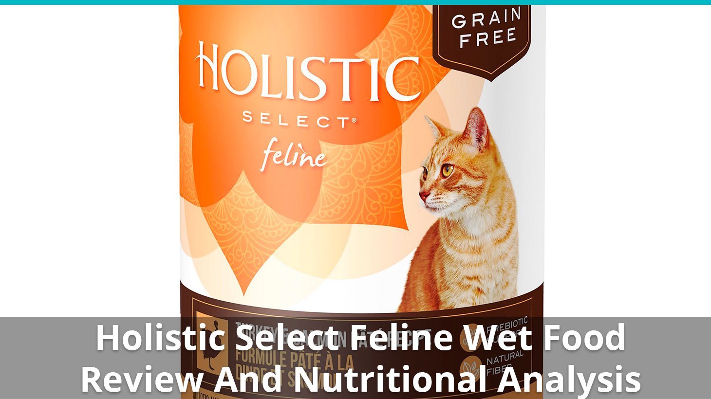 holistic select feline wet