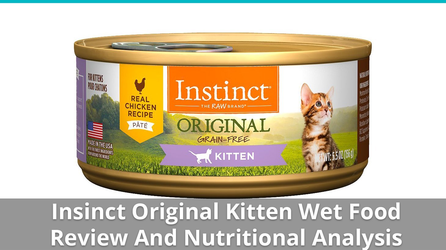 instinct original kitten