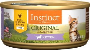 instinct original kitten