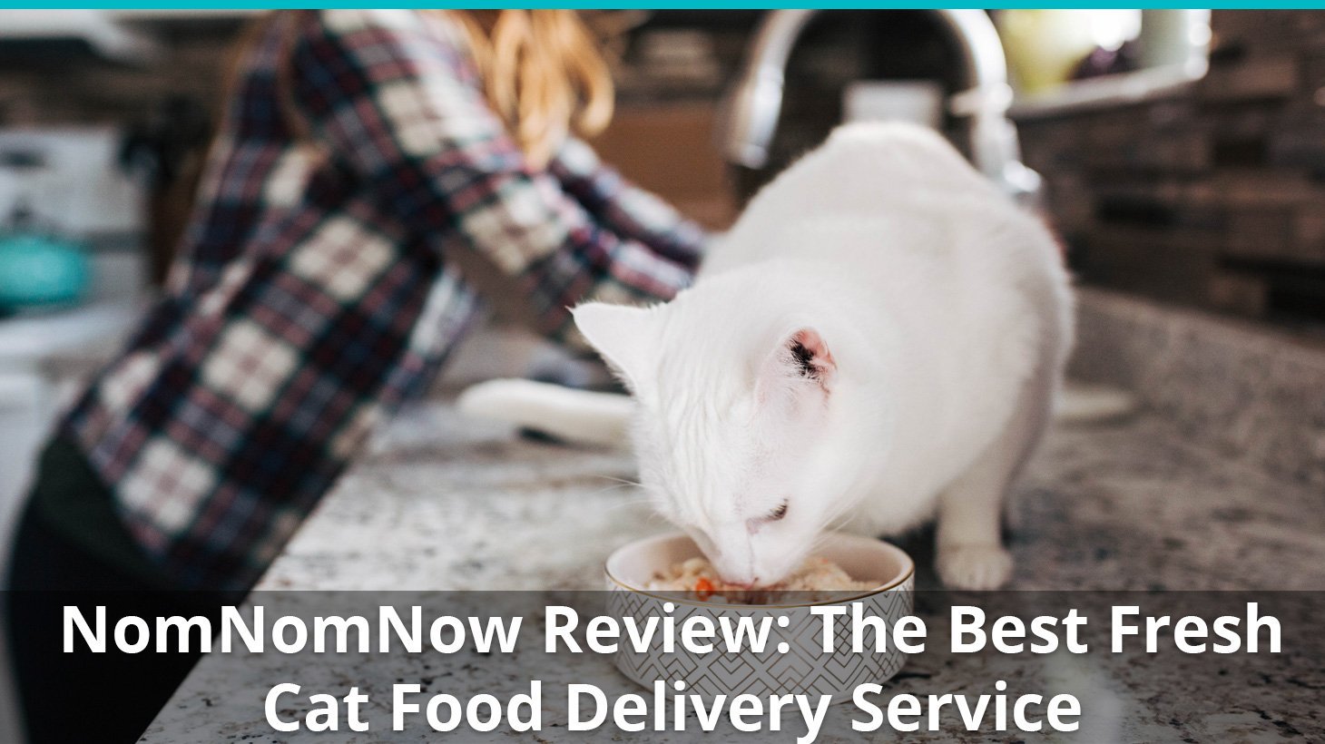 nomnomnow cat food review