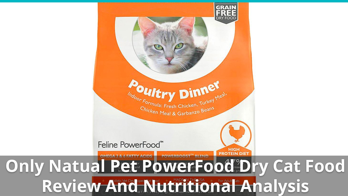 only natural pet powerfood