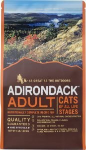adirondack adult