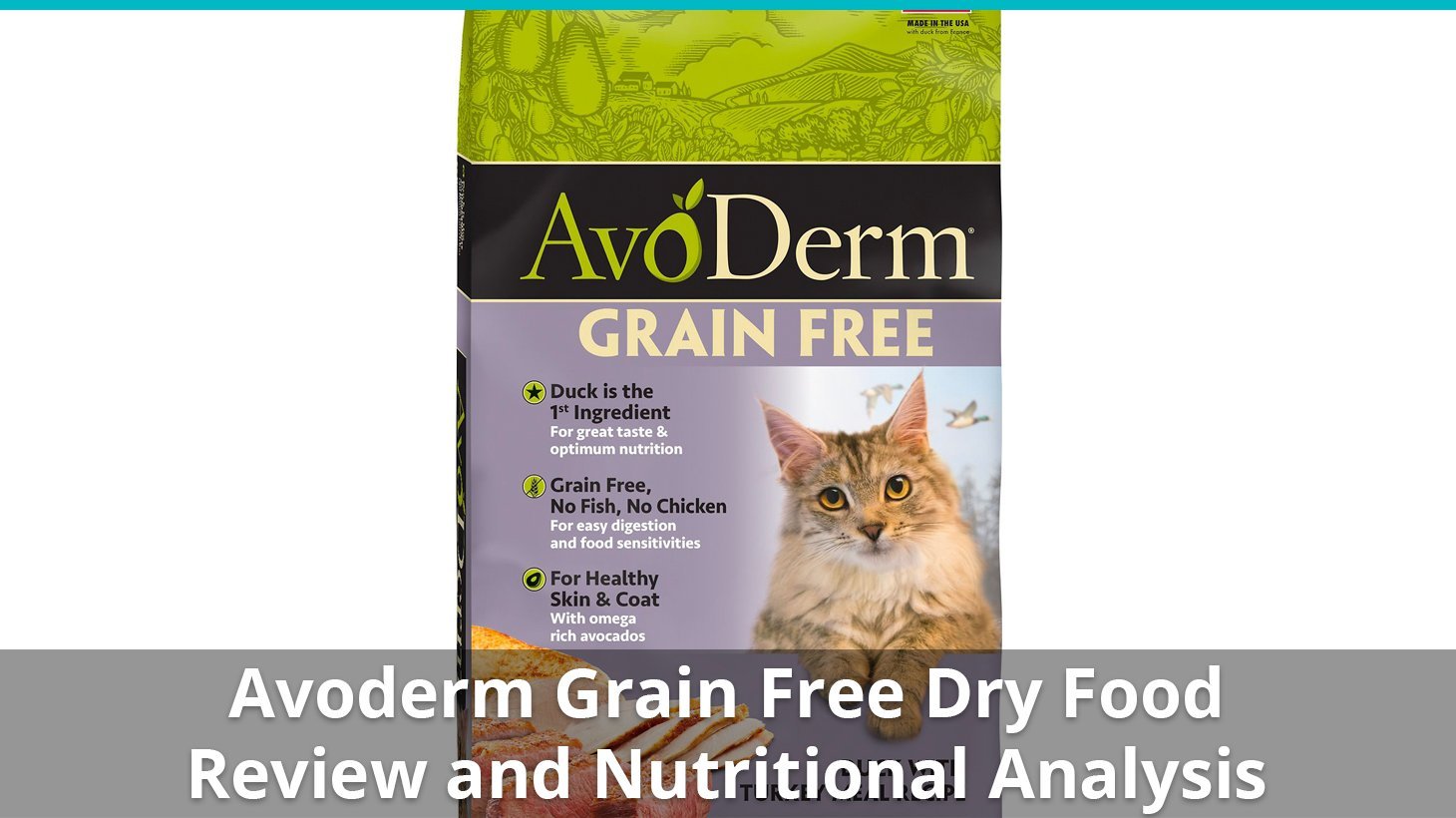 avoderm grain free dry