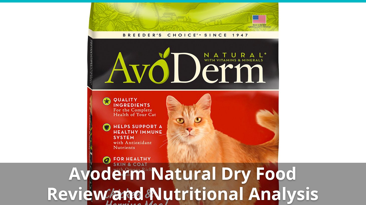 Avoderm Natural Cat Food Dry Review And Nutrition Analysis