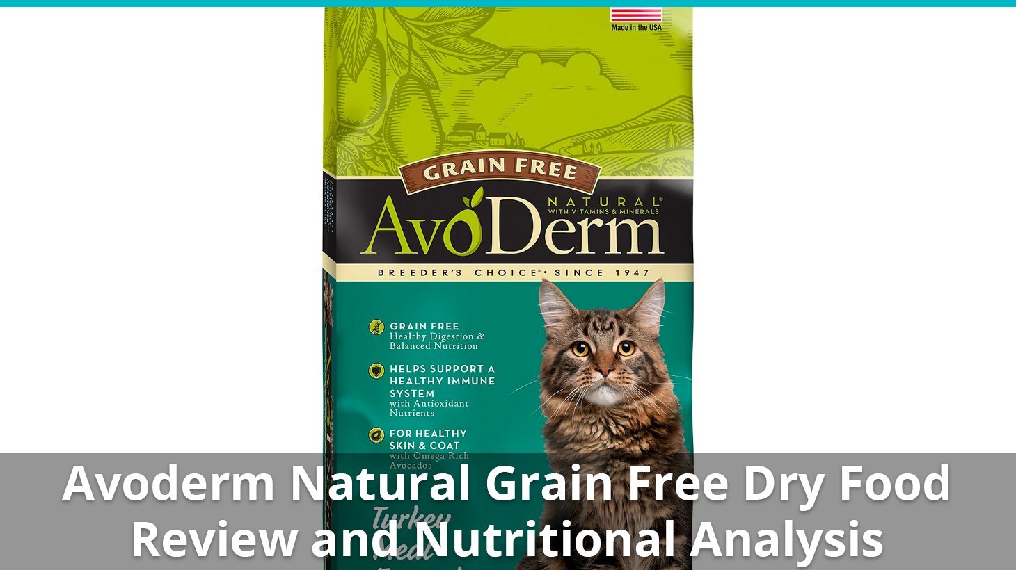 avoderm natural grain free dry