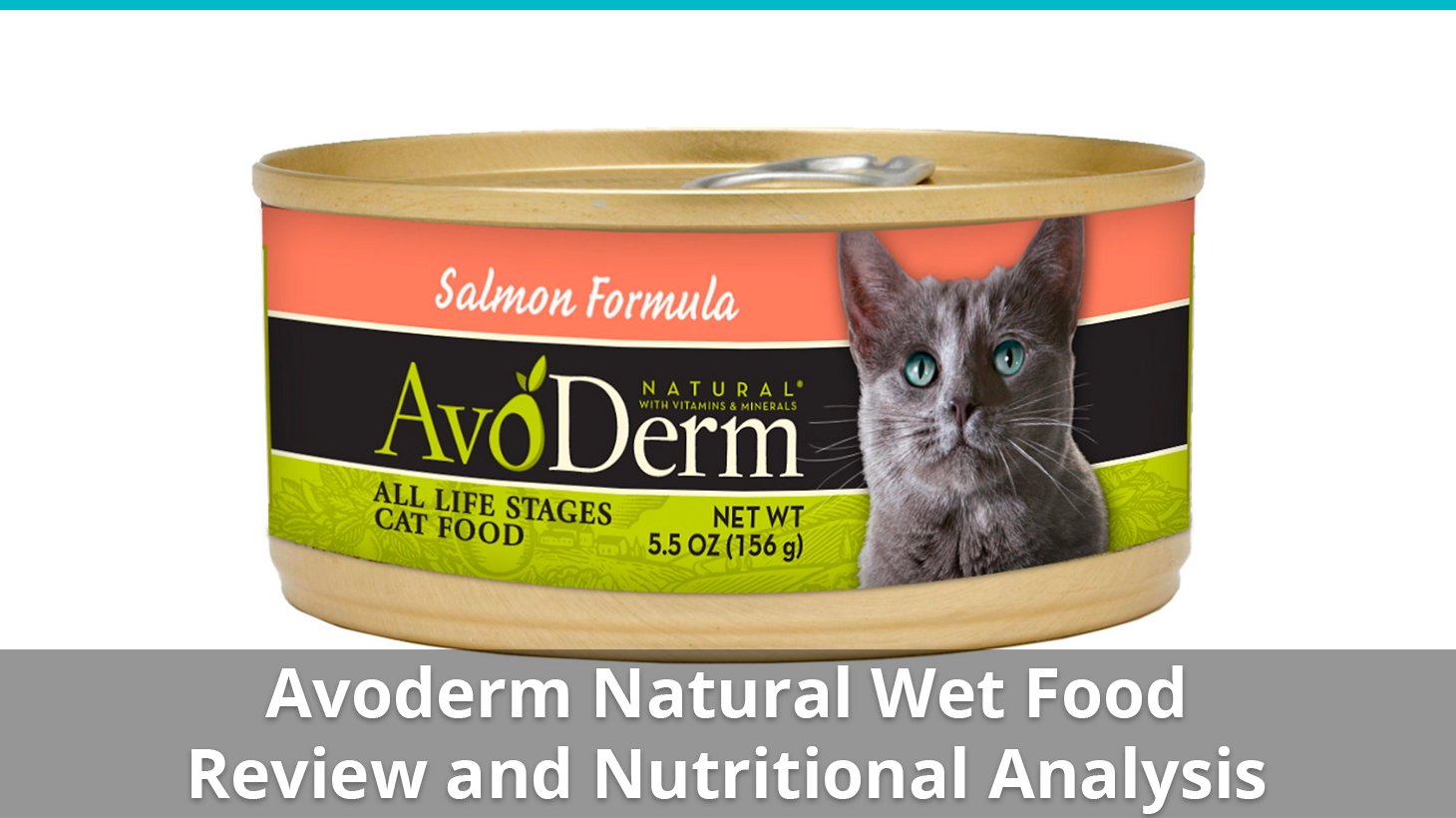 Avoderm Natural Cat Food Wet Review And Nutrition Analysis