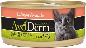 avoderm natural wet cat food can
