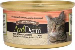 avoderm natural wild by nature wet cat food can