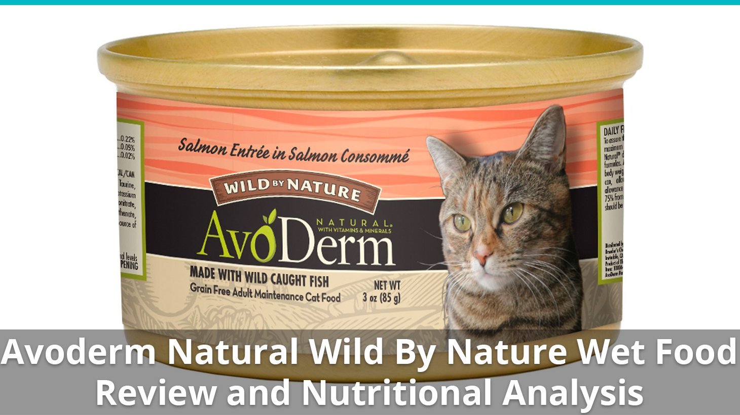 avoderm natural wild by nature wet