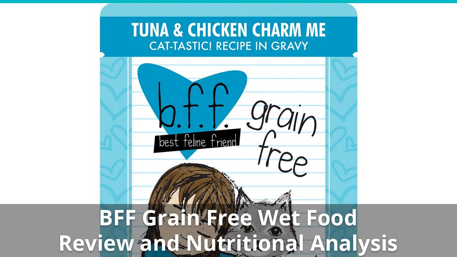 bff grain free wet