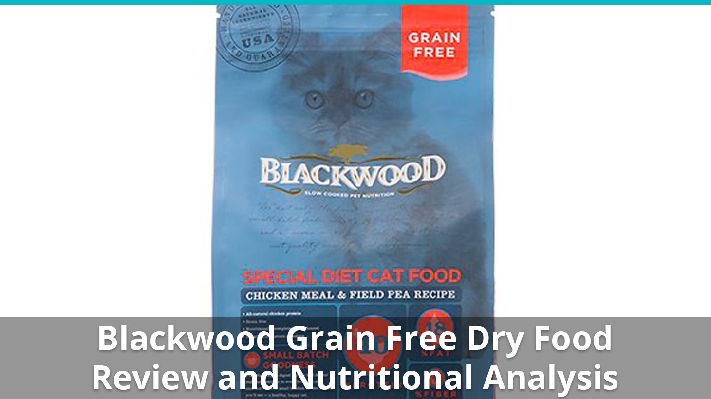 blackwood grain free dry