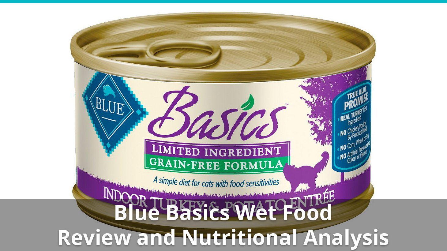 blue basics wet