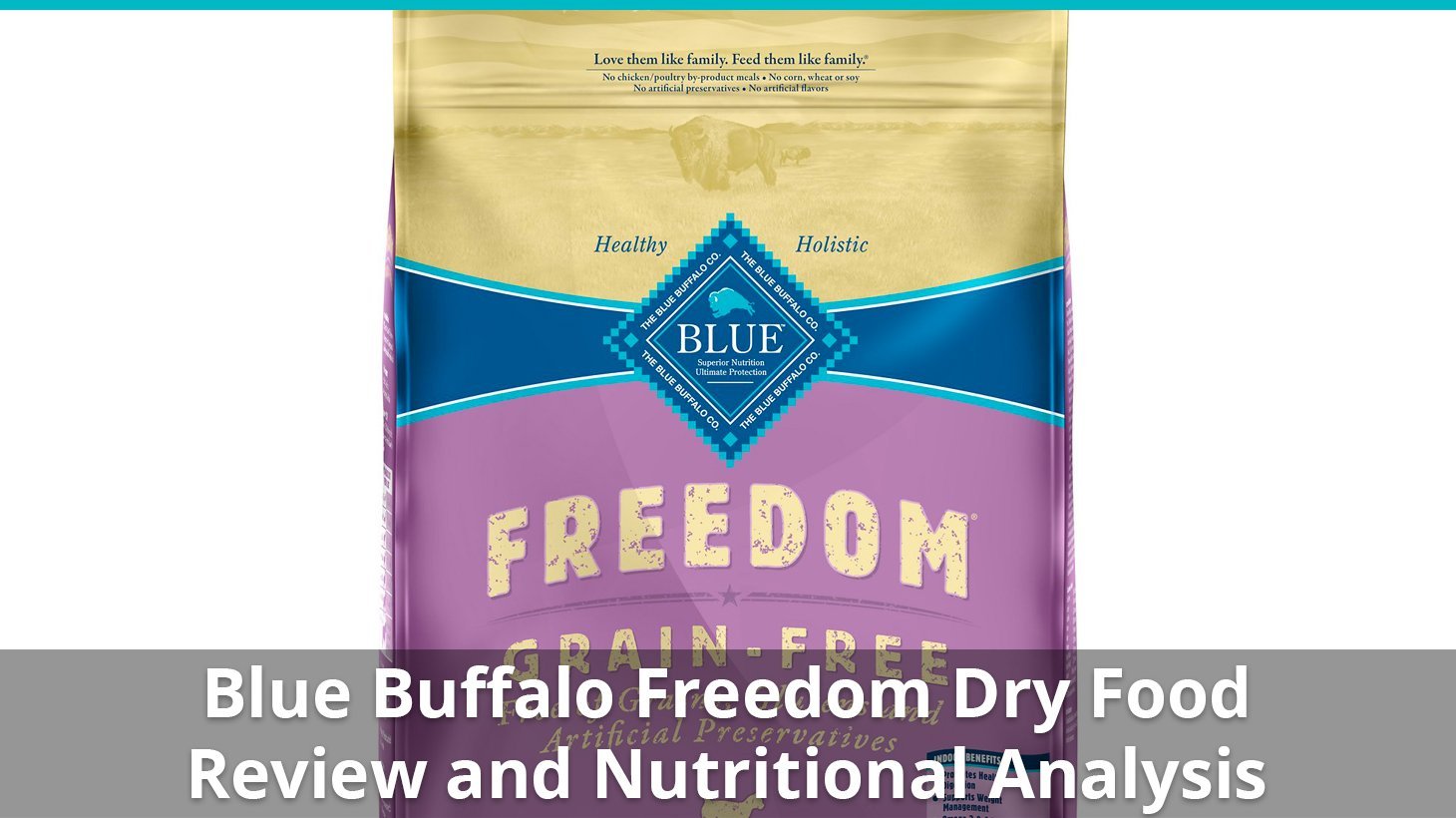 blue buffalo freedom dry