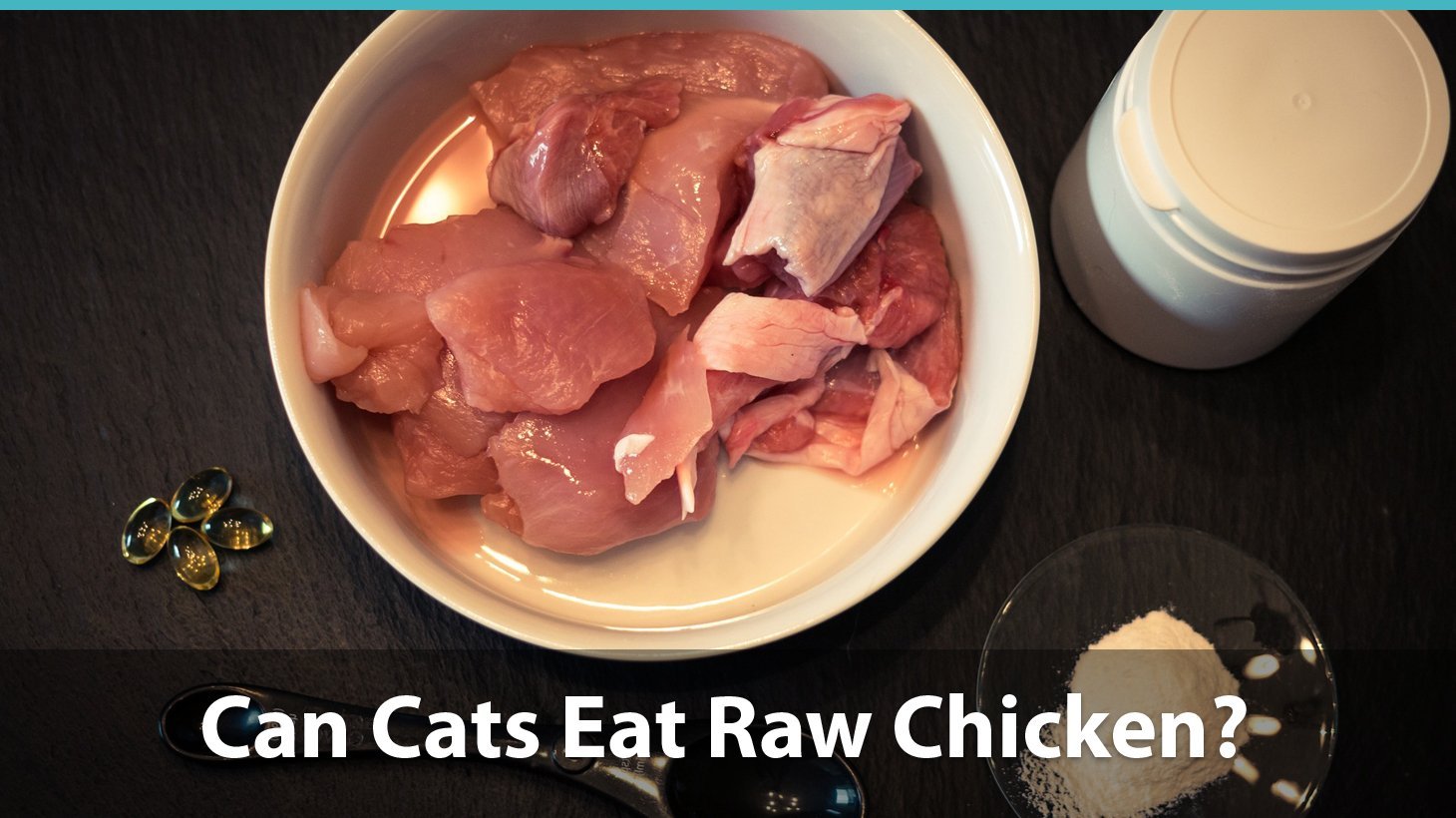 is it safe for cats to eat raw chicken?