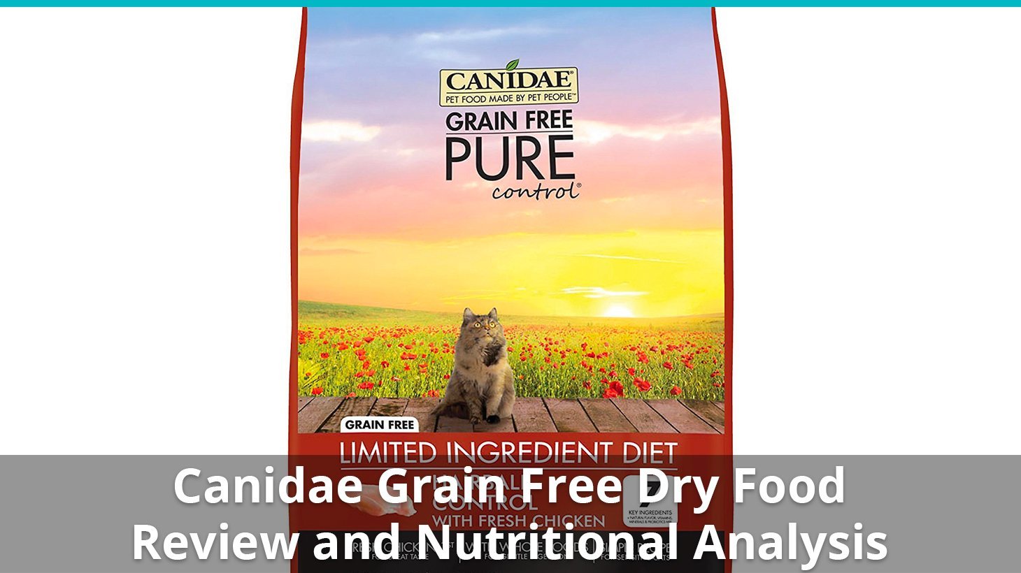 Canidae Grain Free Cat Food (Dry) Review And Analysis