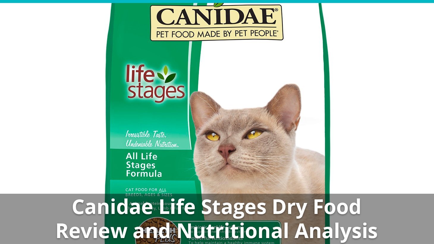 canidae life stages dry