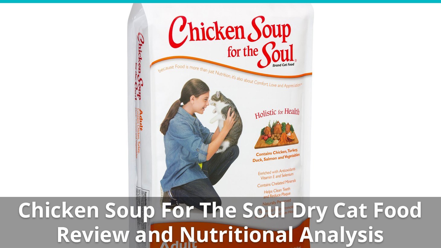 chicken soup dry