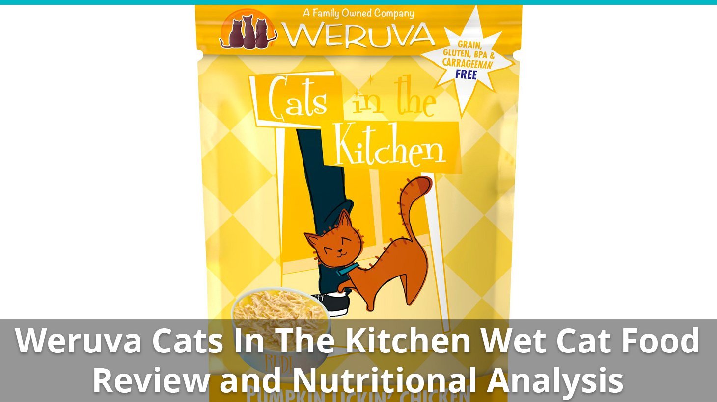 weruva cats in the kitchen