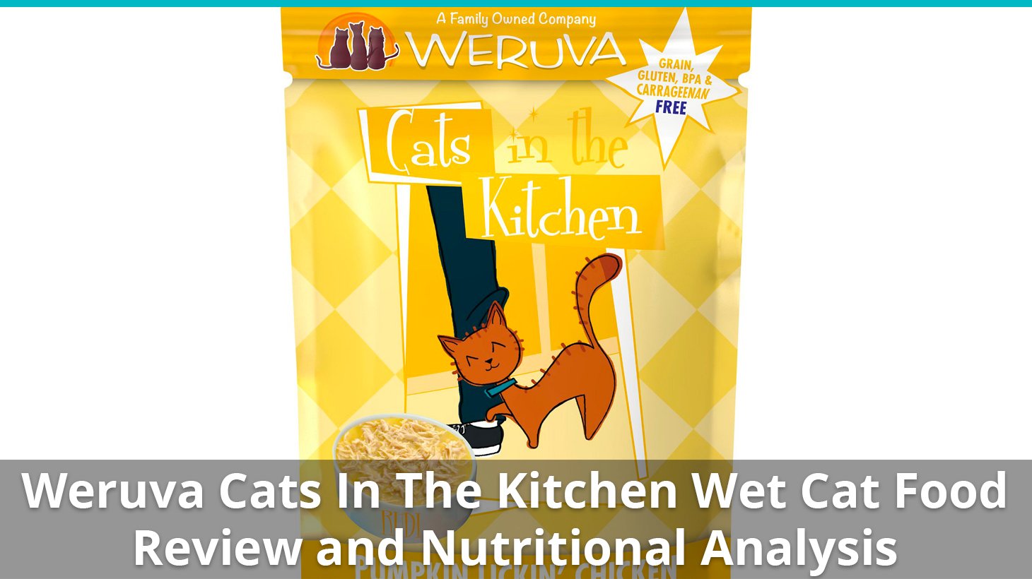 Weruva Cats In The Kitchen Cat Food Wet Review And Analysis