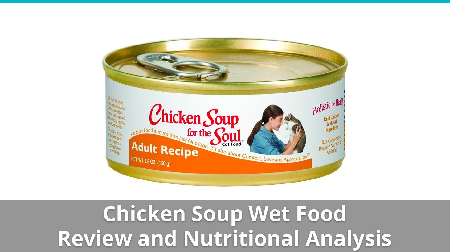 chicken soup wet