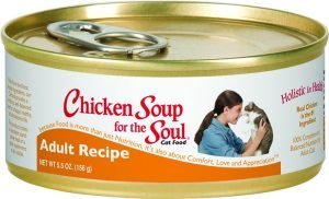 chicken soup wet