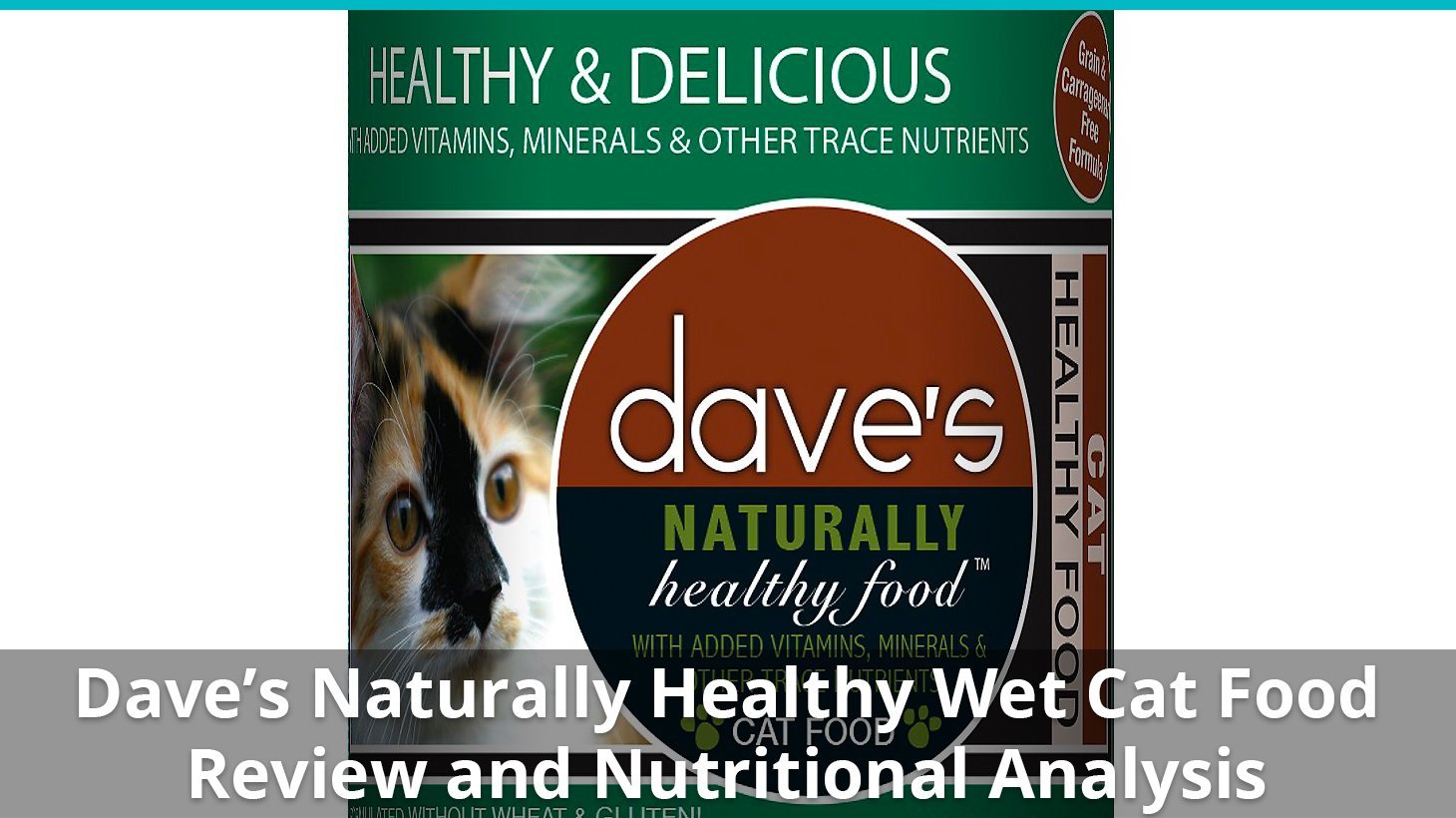 daves pet food naturally healthy wet