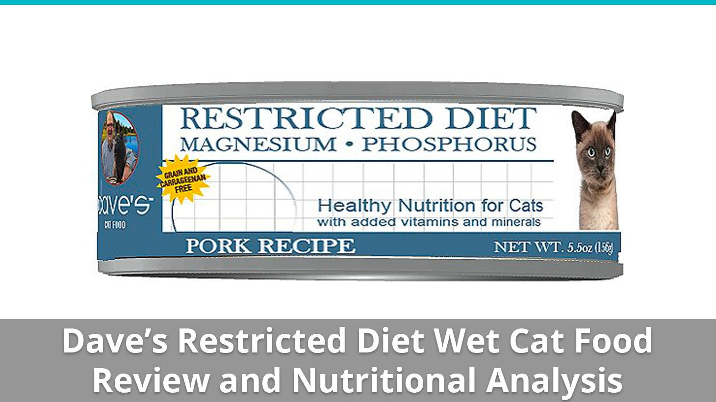 Dave's restricted diet outlet cat food