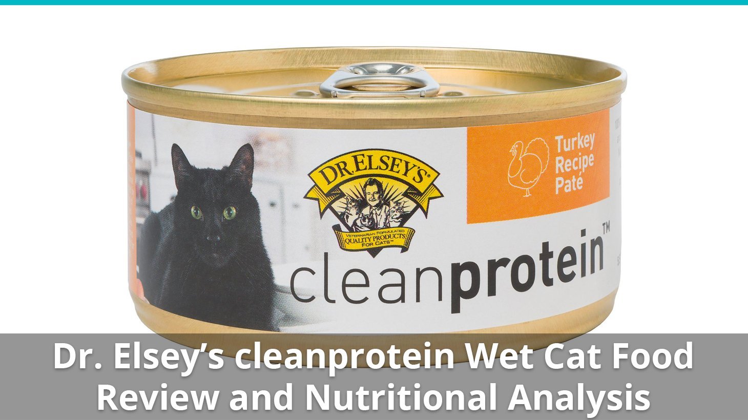 dr elseys cleanprotein wet
