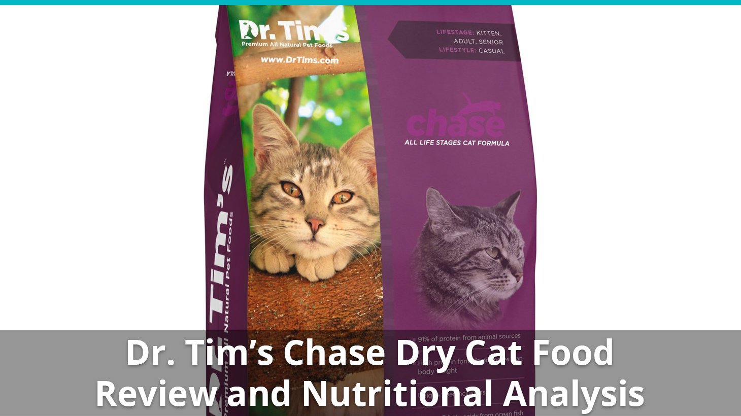 Dr tims cat food