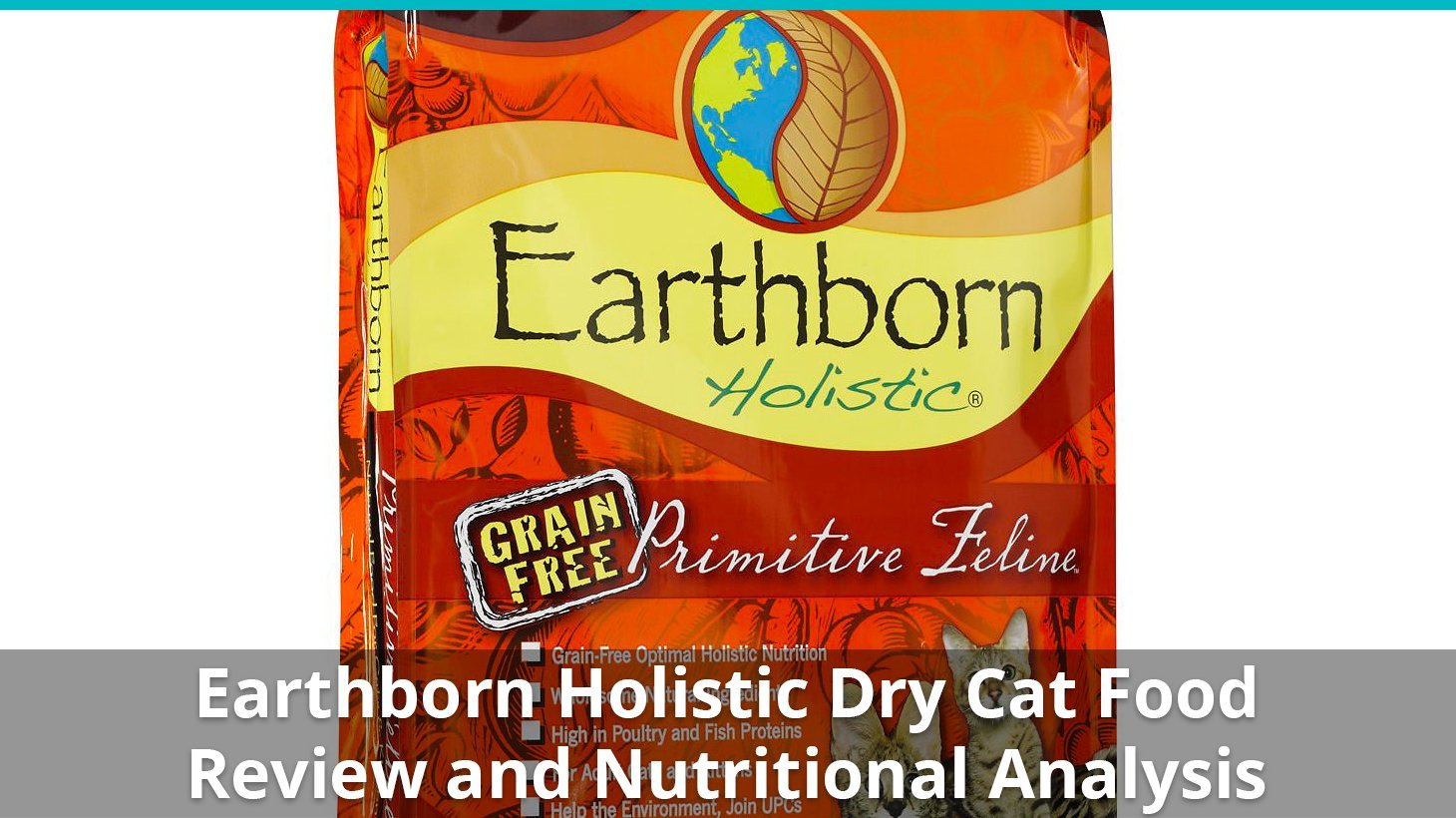 earthborn holistic dry
